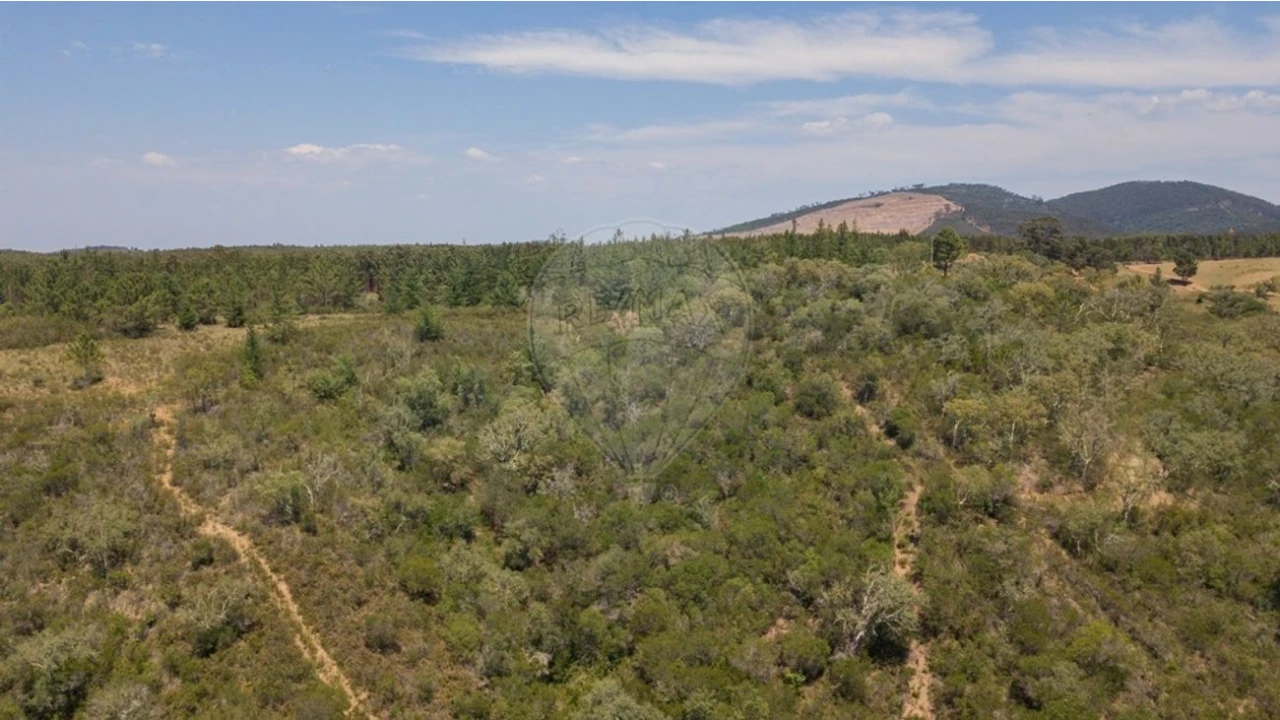 Terreno para Venda em São Teotónio Foto 16