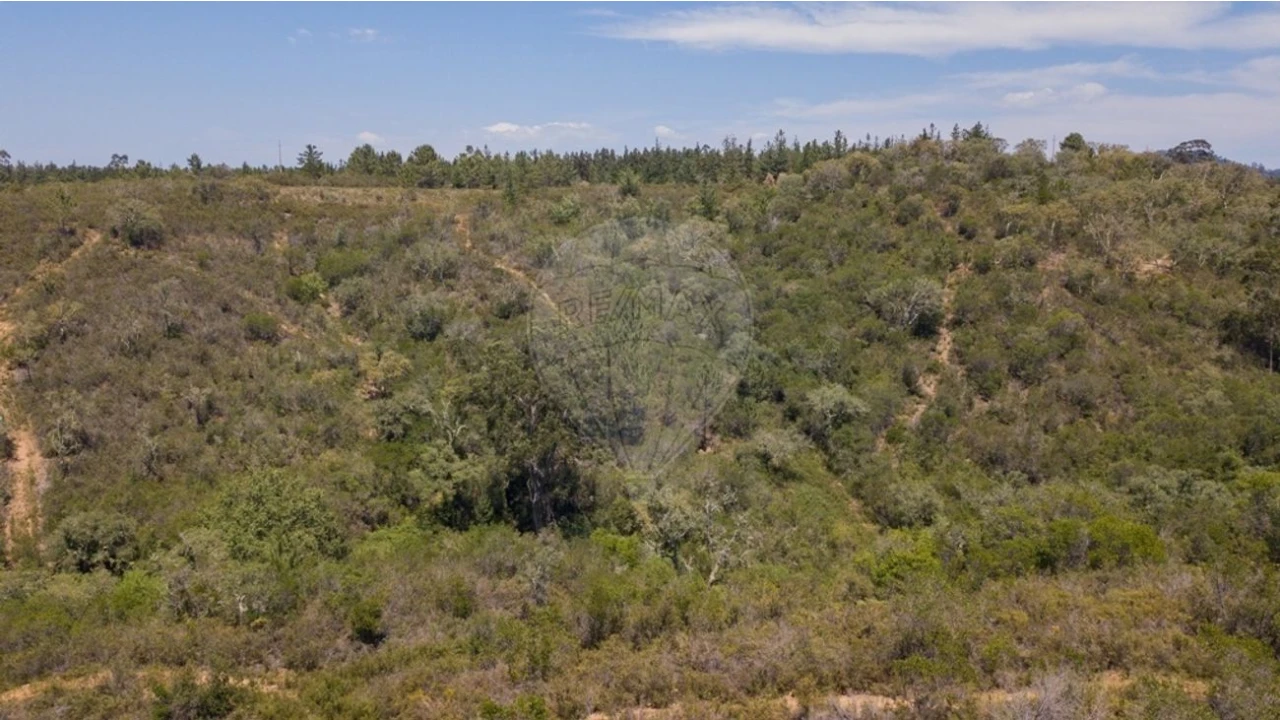 Terreno para Venda em São Teotónio Foto 18