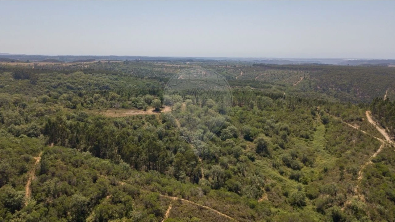 Terreno para Venda em São Teotónio Foto 8