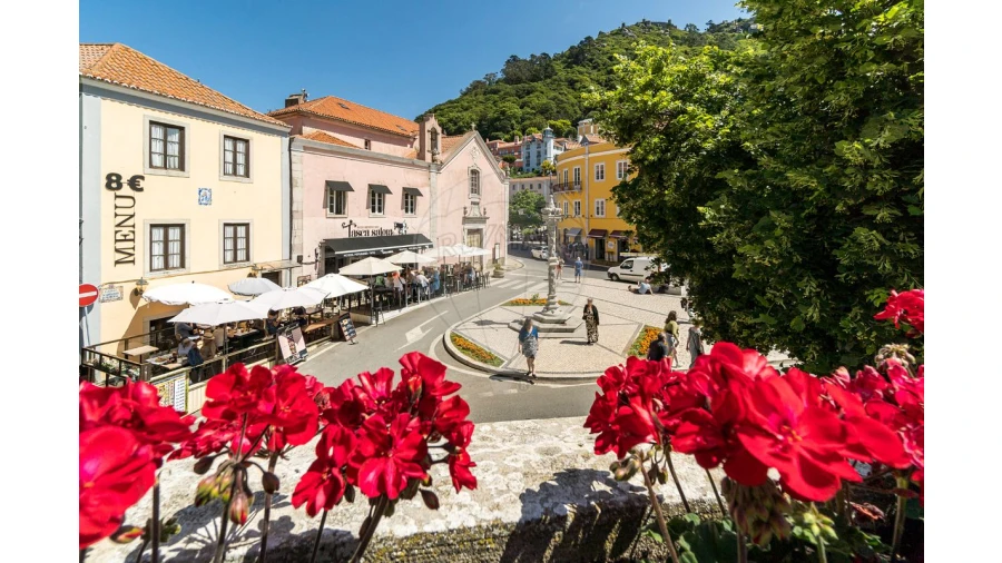 Moradia T12 para Venda em Santa Maria e São Miguel, São Martinho, São Pedro Penaferrim Foto 8