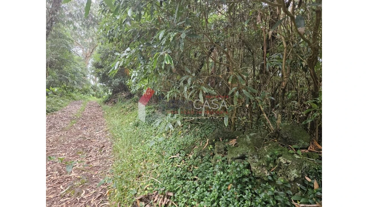 Terreno para Venda em Porto Martins Foto 6