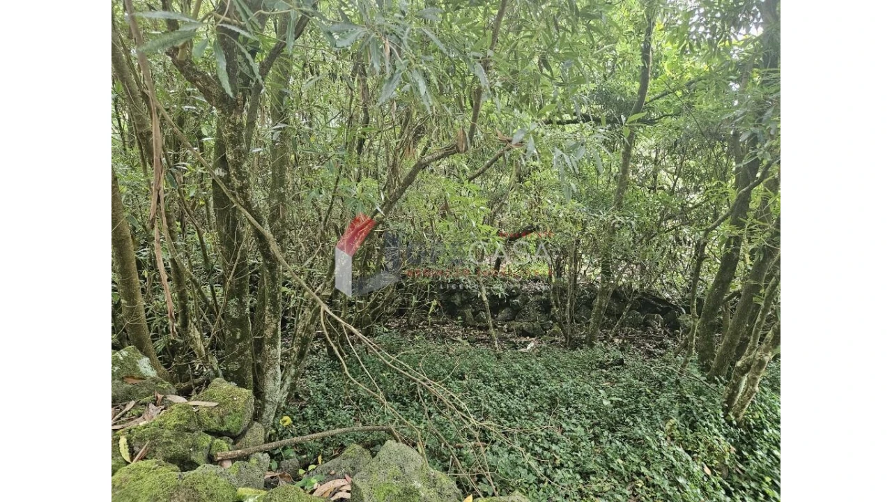 Terreno para Venda em Porto Martins Foto 4