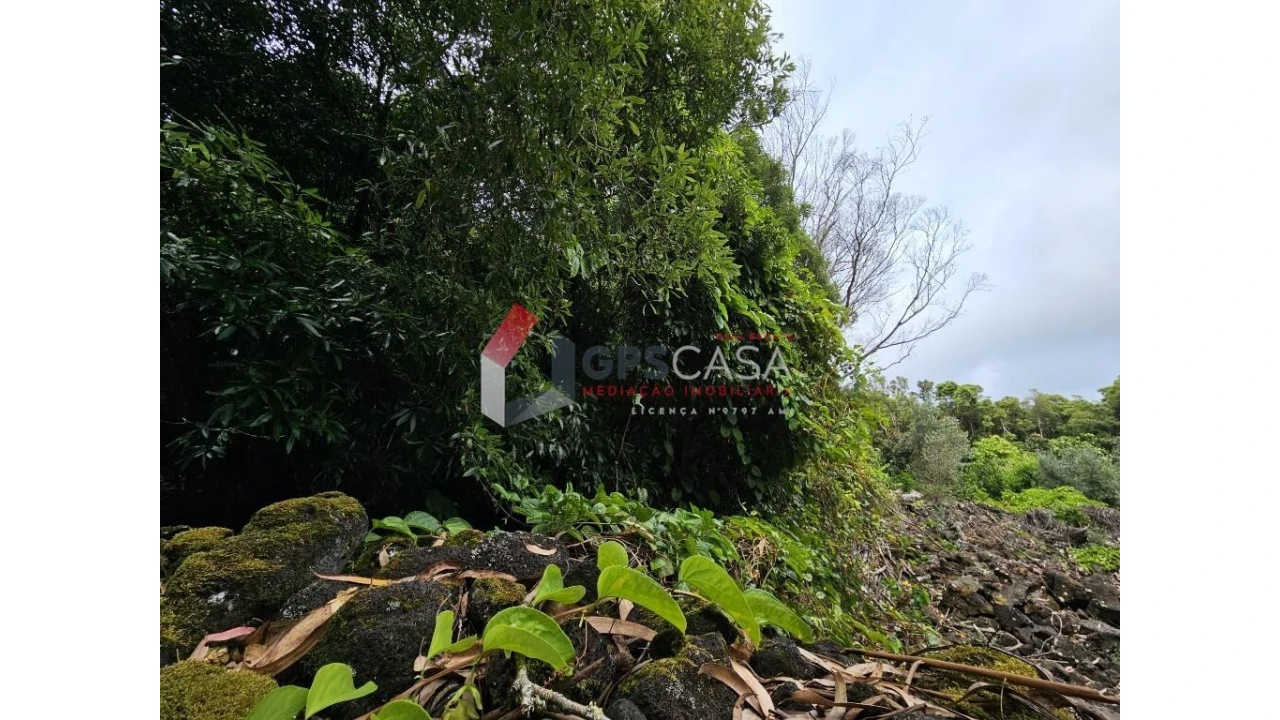 Terreno para Venda em Porto Martins Foto 1