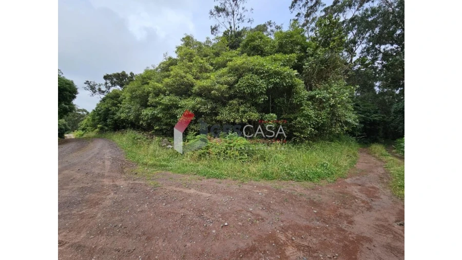 Terreno para Venda em Porto Martins Foto 7