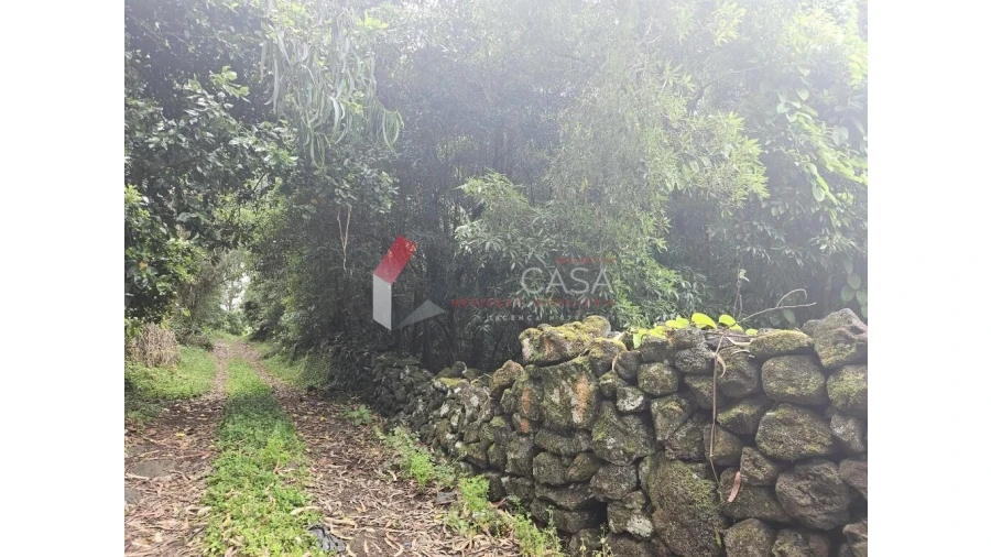 Terreno para Venda em Porto Martins Foto 3