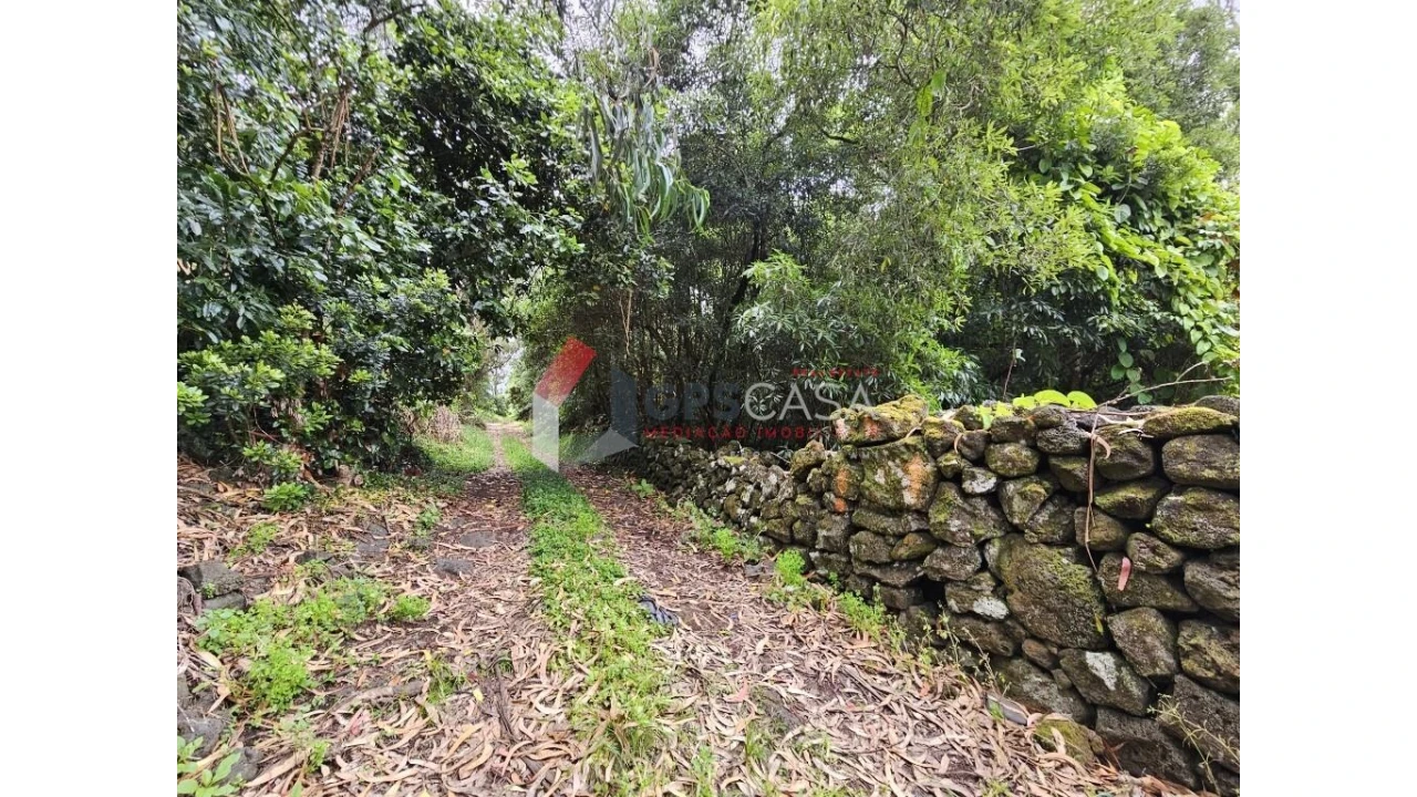Terreno para Venda em Porto Martins Foto 2
