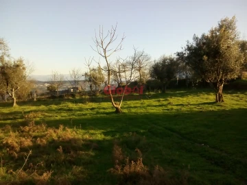 Terreno para Venda em Fragosela