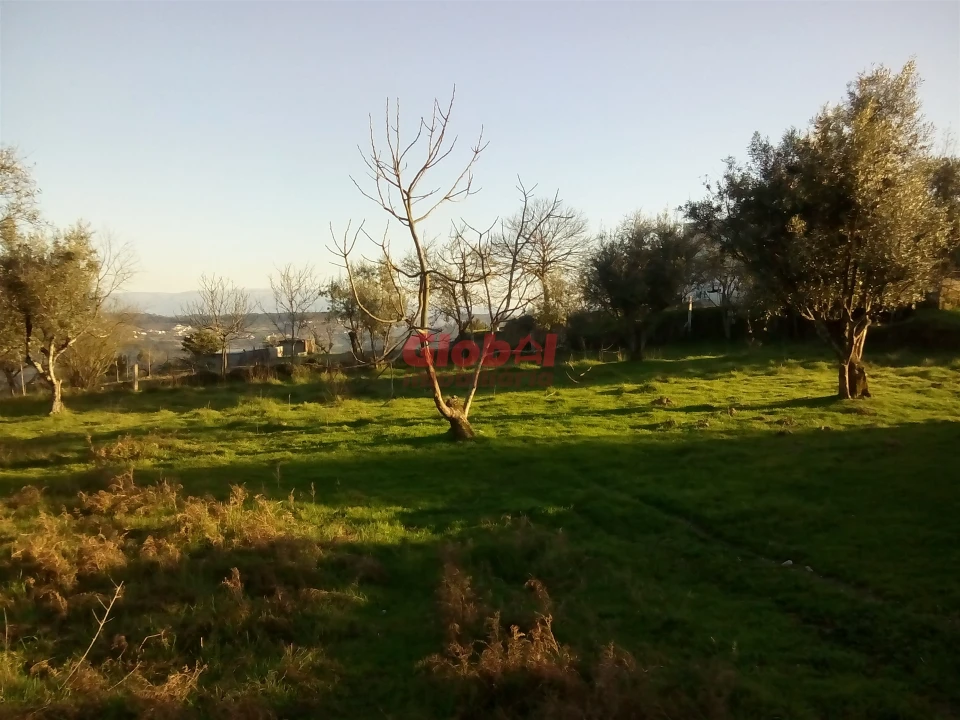 Terreno para Venda em Fragosela Foto 6