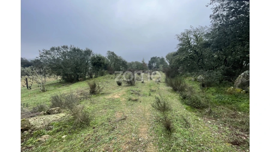 Terreno para Venda em Sebadelhe Foto 11