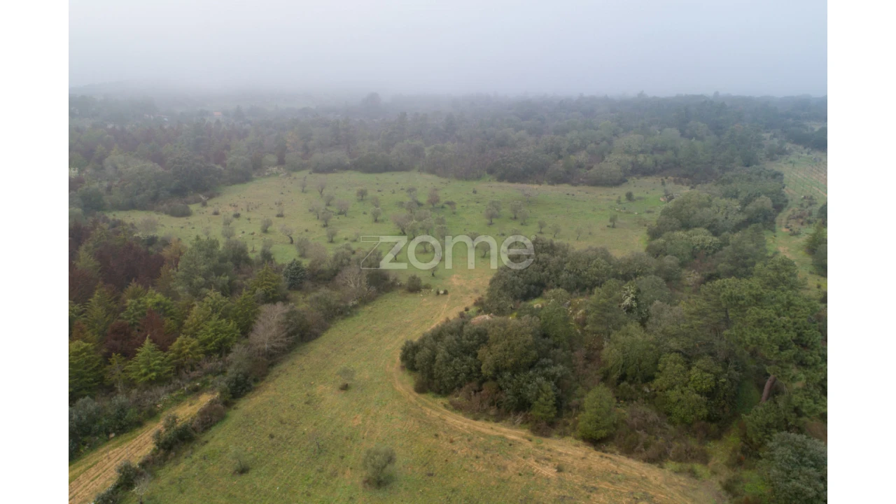Terreno para Venda em Sebadelhe Foto 10