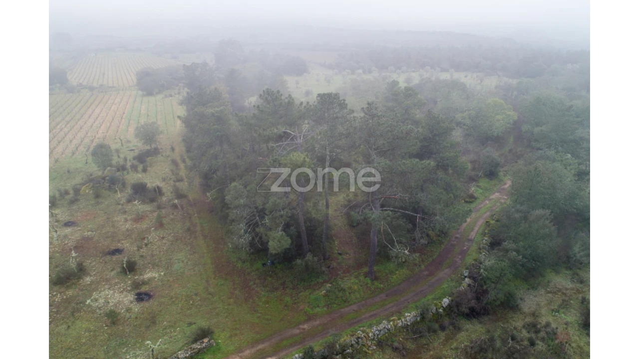 Terreno para Venda em Sebadelhe Foto 12