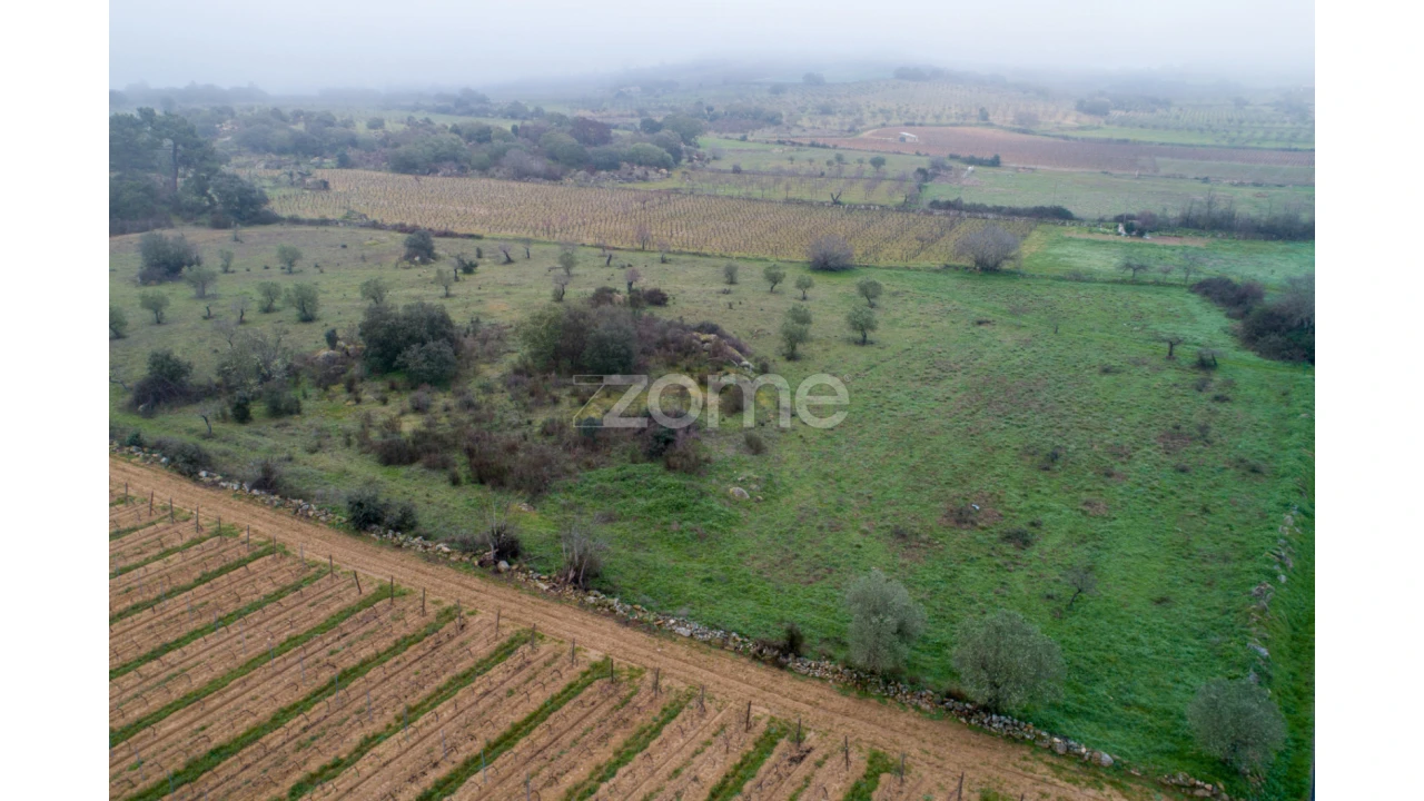 Terreno para Venda em Sebadelhe Foto 8