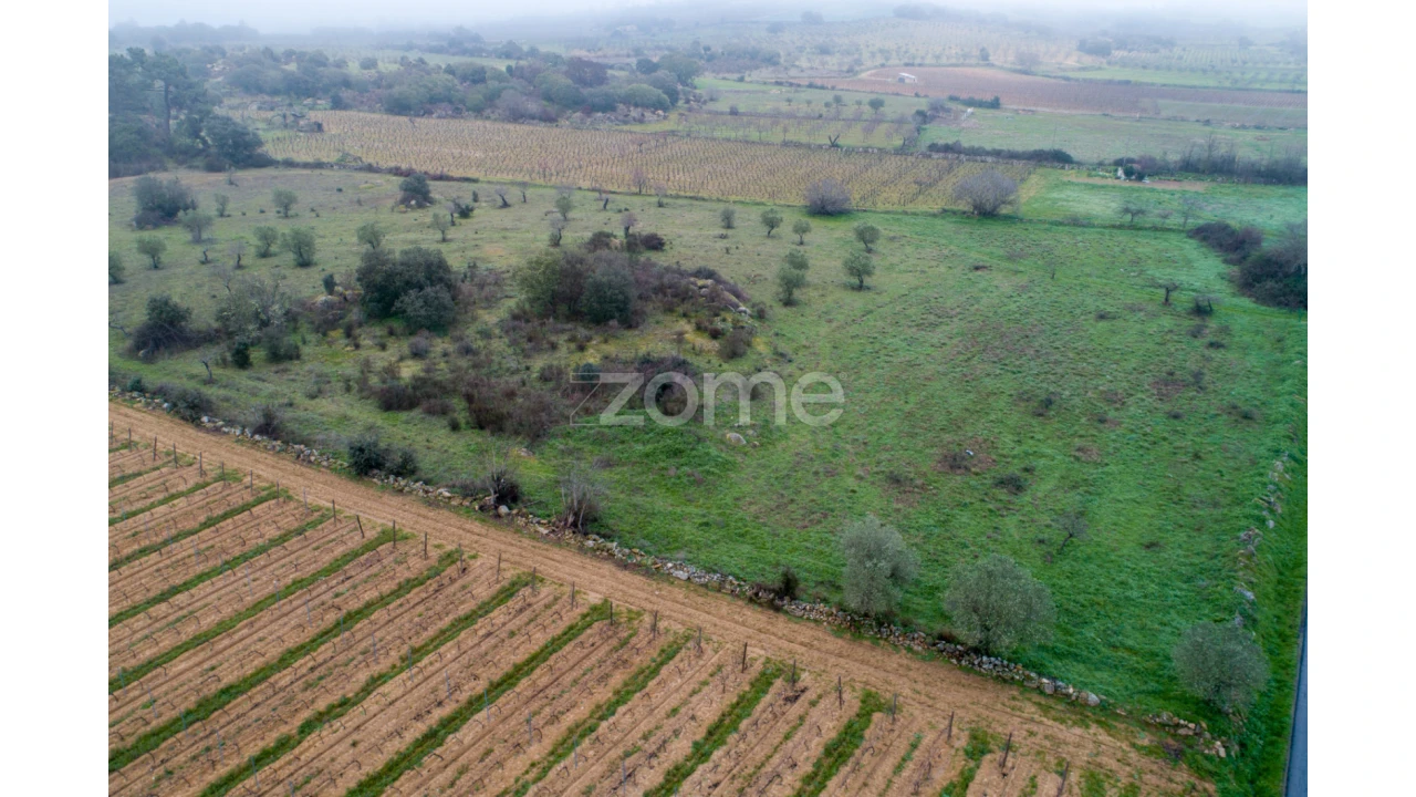 Terreno para Venda em Sebadelhe Foto 9