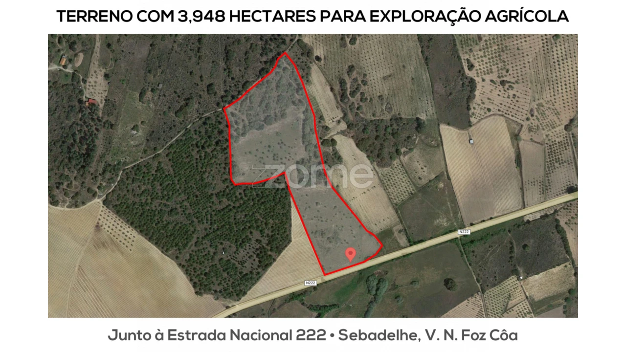 Terreno para Venda em Sebadelhe Foto 3