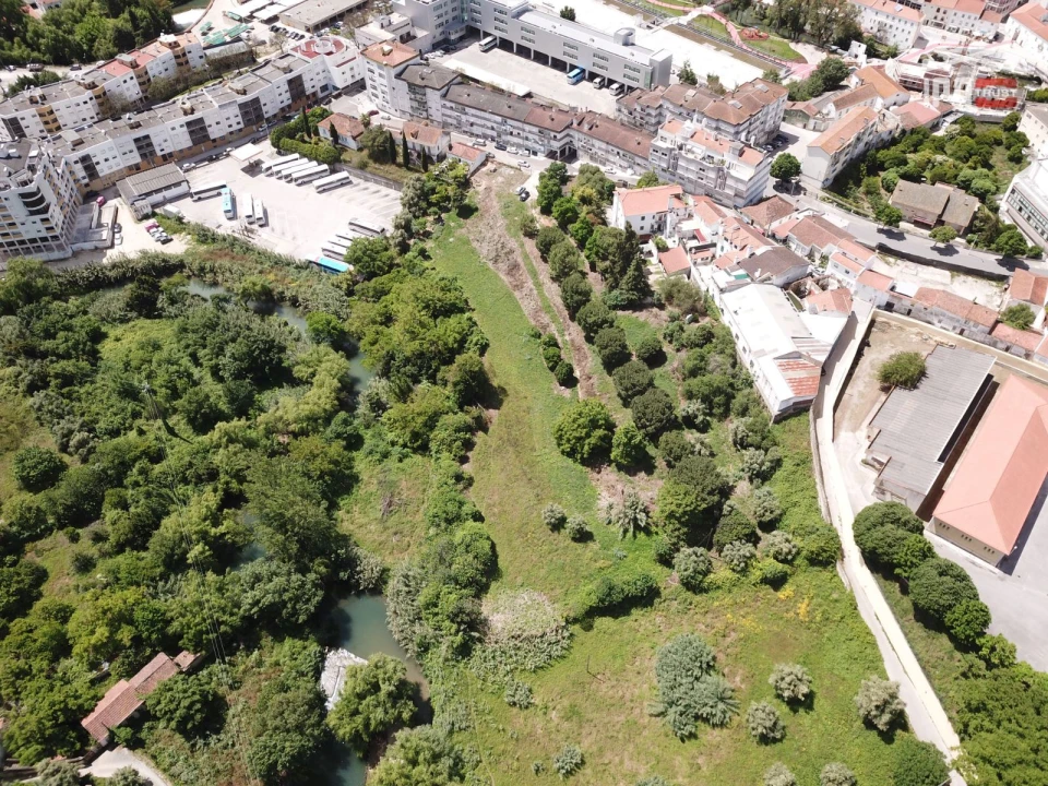 Terreno Misto para Venda em Torres Novas (Santa Maria, Salvador e Santiago) Foto 8