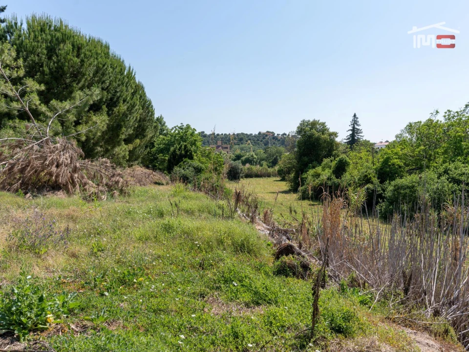 Terreno Misto para Venda em Torres Novas (Santa Maria, Salvador e Santiago) Foto 10