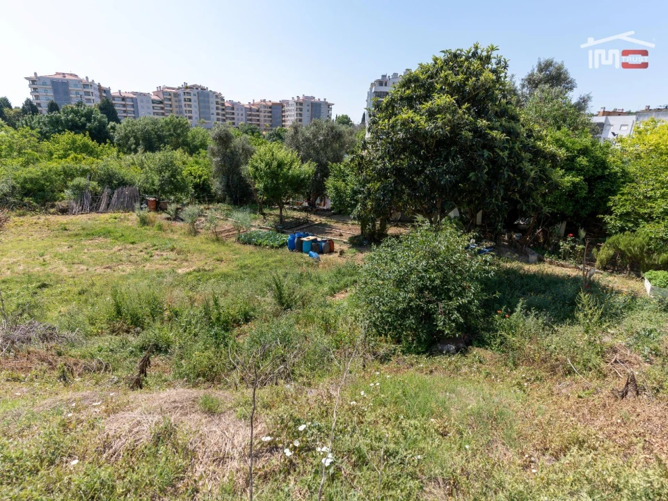 Terreno Misto para Venda em Torres Novas (Santa Maria, Salvador e Santiago) Foto 11