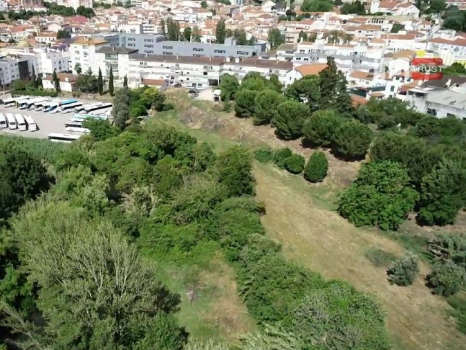 Terreno Misto para Venda em Torres Novas (Santa Maria, Salvador e Santiago) Foto 3