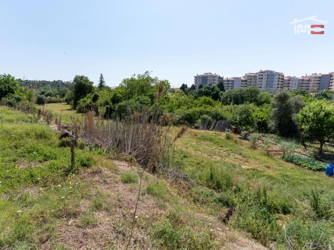 Terreno Misto para Venda em Torres Novas (Santa Maria, Salvador e Santiago) Foto 12