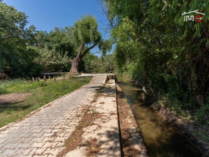Terreno Misto para Venda em Torres Novas (Santa Maria, Salvador e Santiago) Foto 13