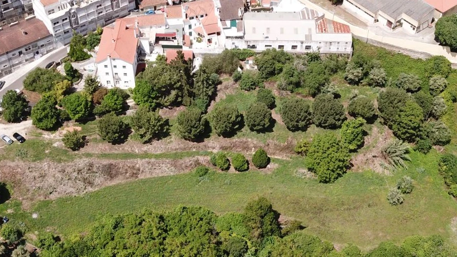 Terreno Misto para Venda em Torres Novas (Santa Maria, Salvador e Santiago)