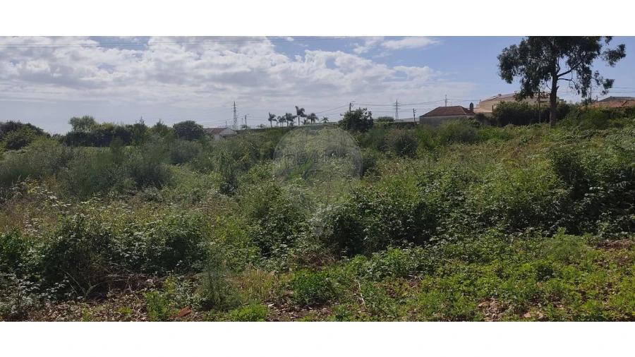 Terreno para Venda em Silvalde Foto 2