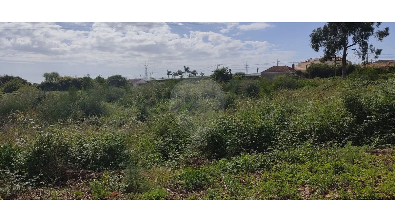 Terreno para Venda em Silvalde Foto 2