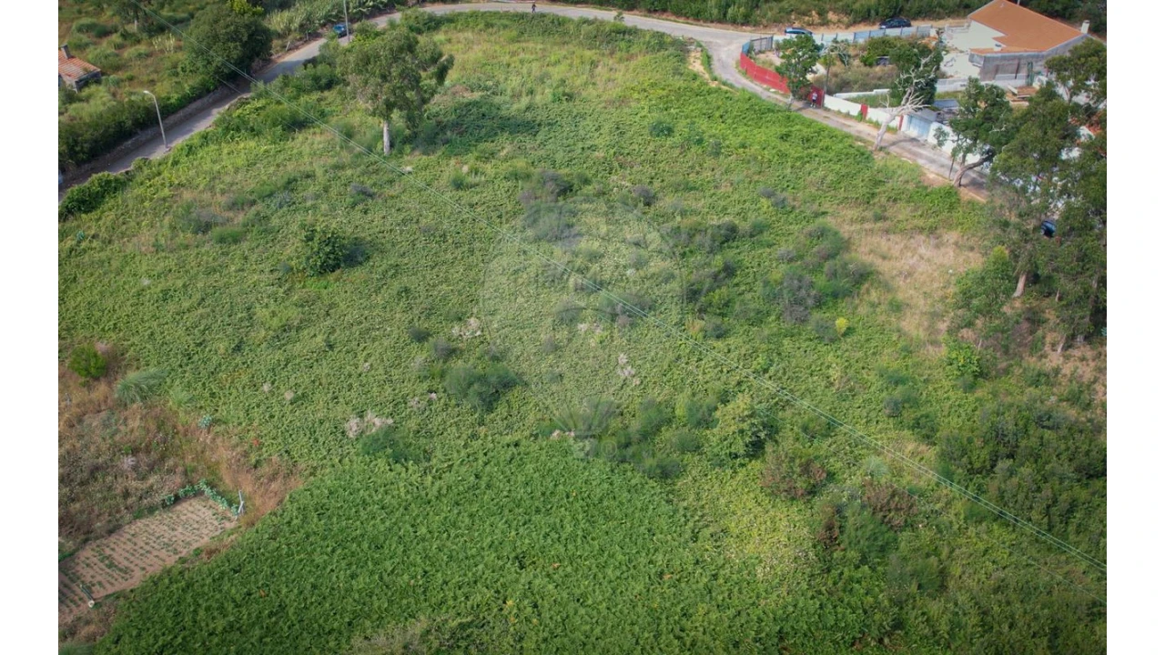 Terreno para Venda em Silvalde Foto 3