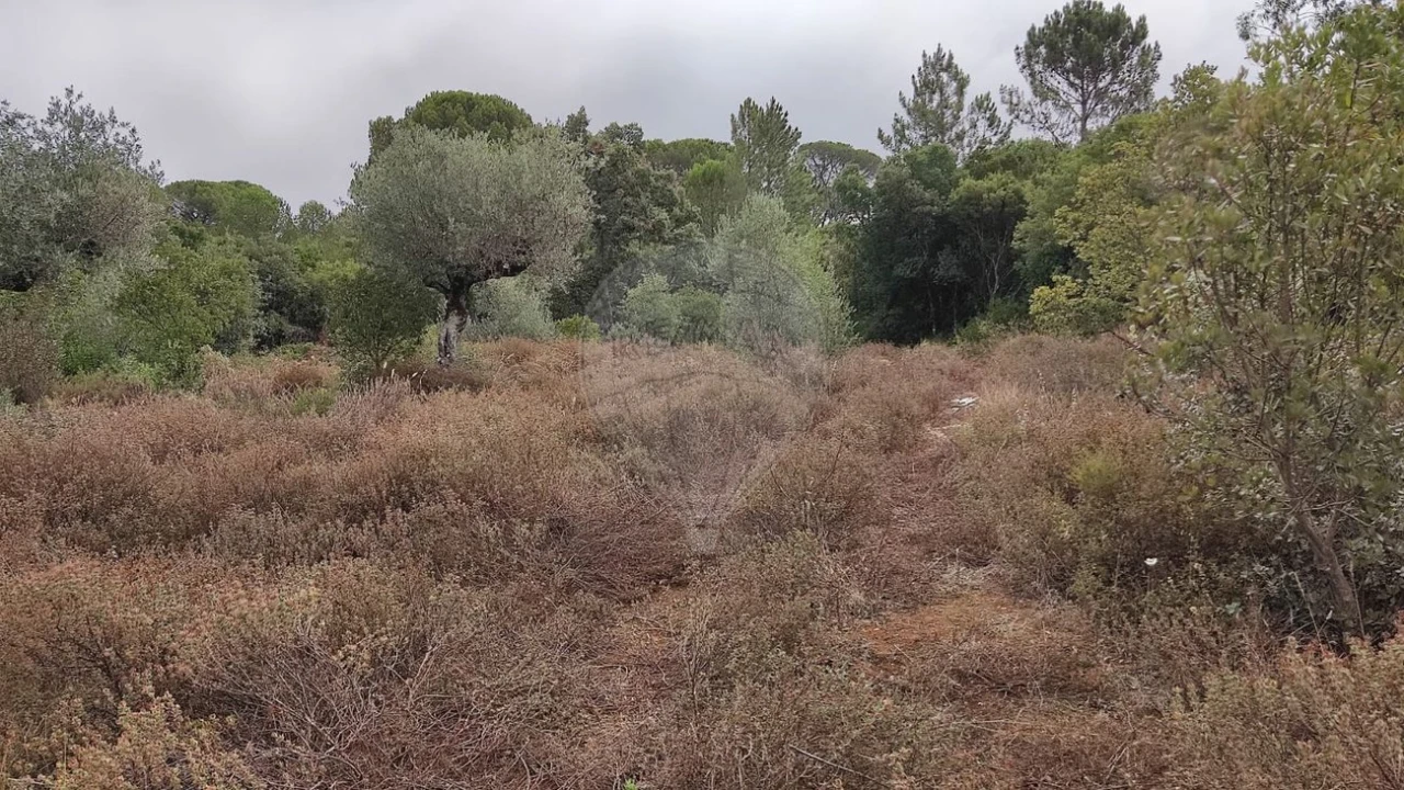 Terreno para Venda em Minde Foto 9