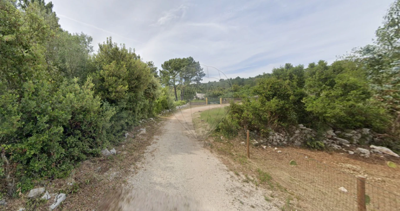 Terreno para Venda em Minde Foto 3