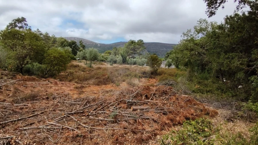 Terreno para Venda em Minde Foto 8