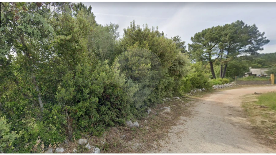 Terreno para Venda em Minde Foto 4