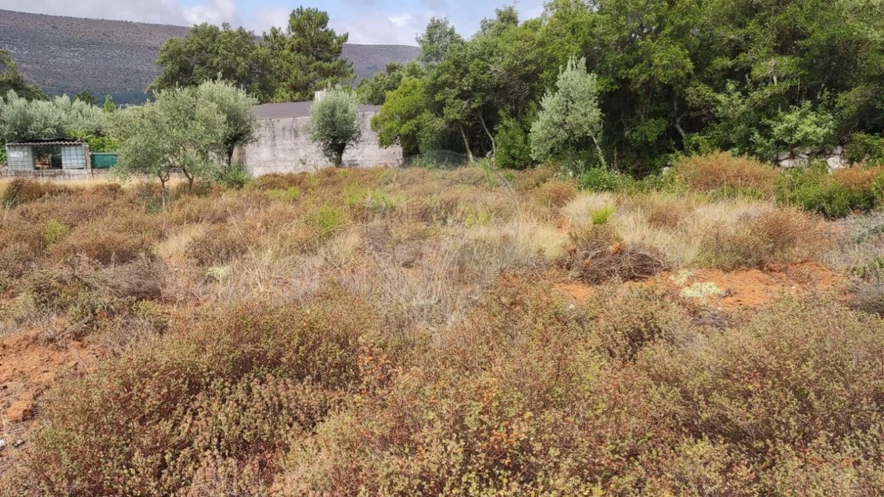 Terreno para Venda em Minde Foto 5