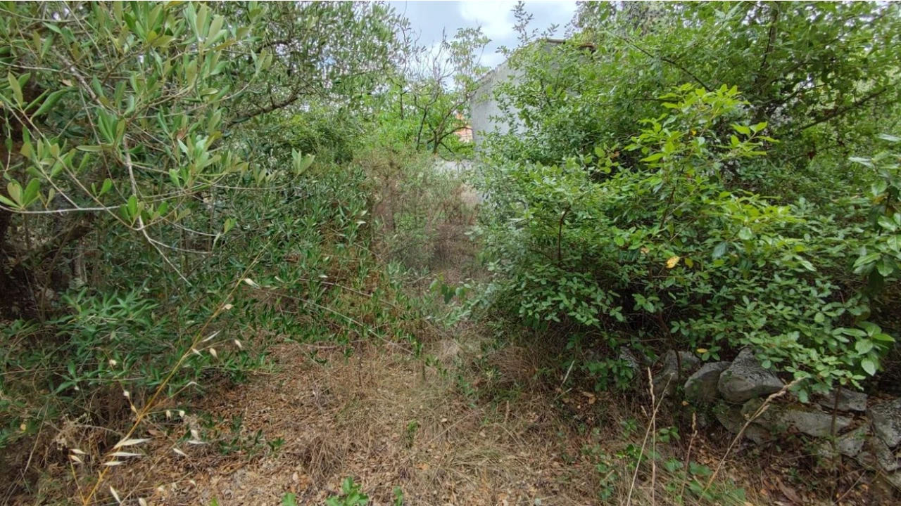 Terreno para Venda em Minde Foto 11