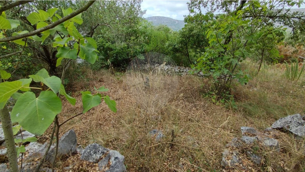 Terreno para Venda em Minde Foto 5