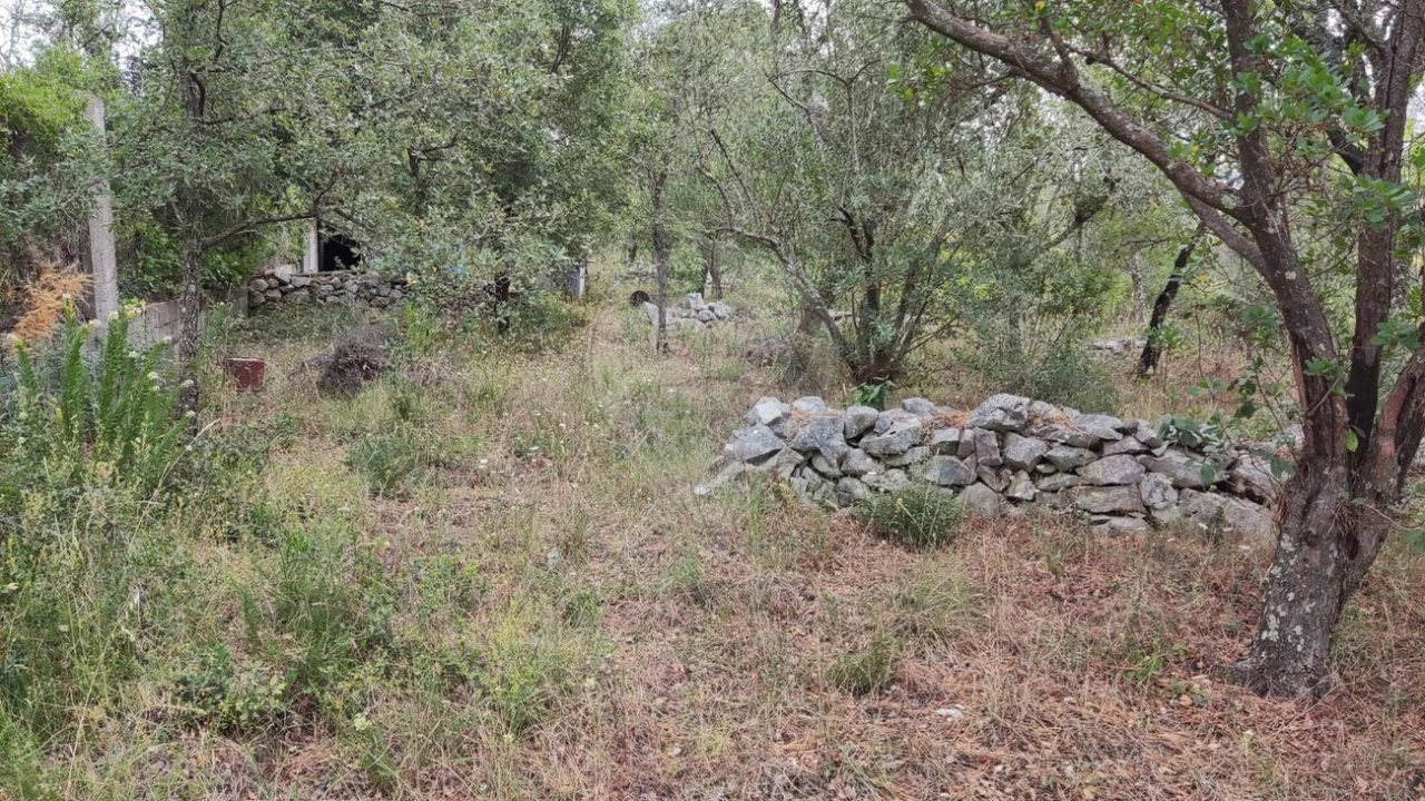 Terreno para Venda em Minde Foto 6