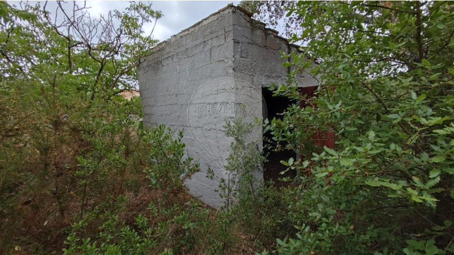 Terreno para Venda em Minde Foto 9