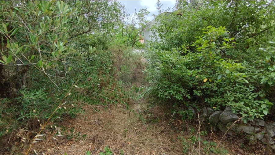 Terreno para Venda em Minde Foto 11