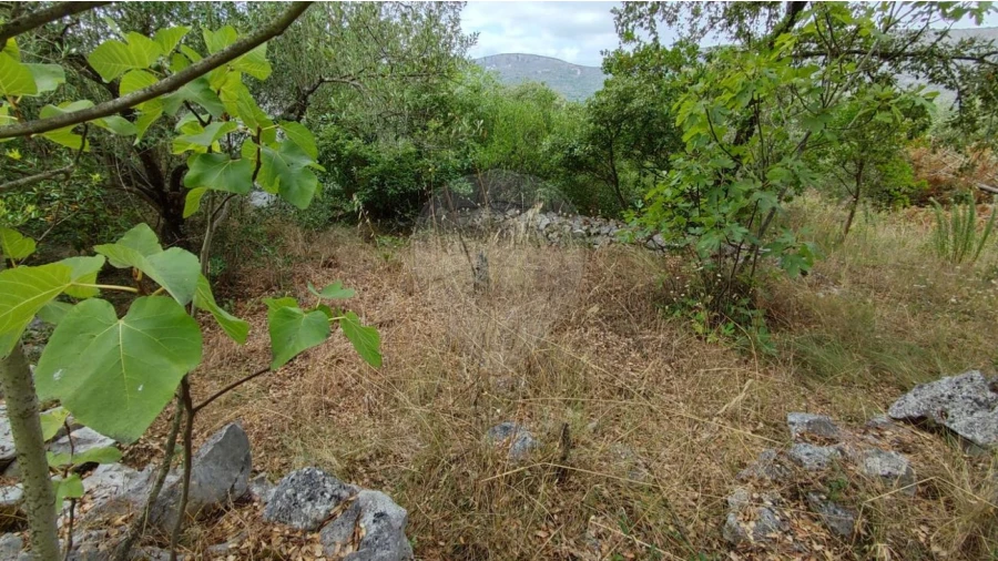 Terreno para Venda em Minde Foto 5