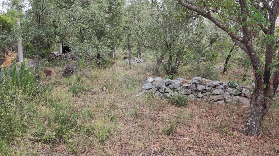 Terreno para Venda em Minde Foto 6