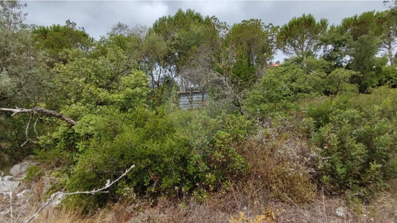 Terreno para Venda em Minde Foto 10