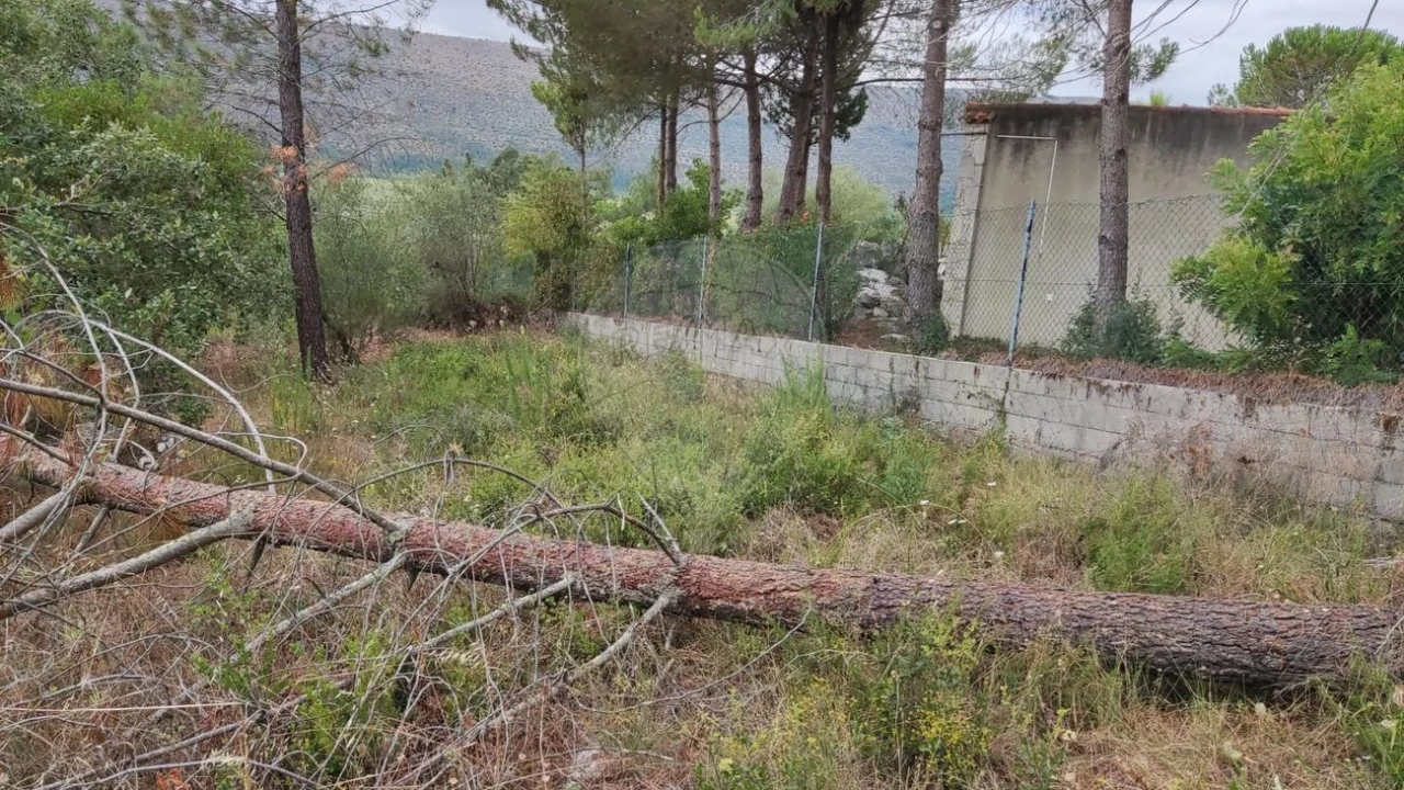 Terreno para Venda em Minde Foto 8
