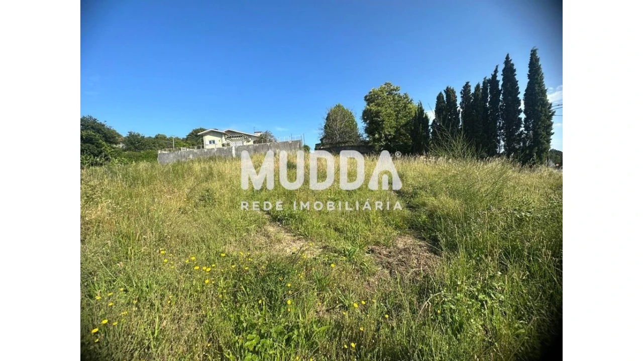Terreno para Venda em Pinheiro da Bemposta, Travanca e Palmaz Foto 7