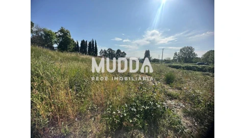 Terreno para Venda em Pinheiro da Bemposta, Travanca e Palmaz