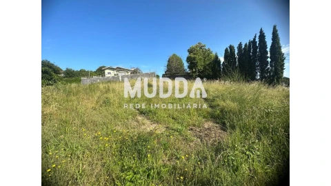 Terreno para Venda em Pinheiro da Bemposta, Travanca e Palmaz