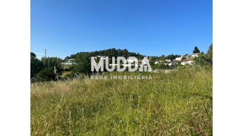 Terreno para Venda em Pinheiro da Bemposta, Travanca e Palmaz