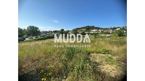 Terreno para Venda em Pinheiro da Bemposta, Travanca e Palmaz