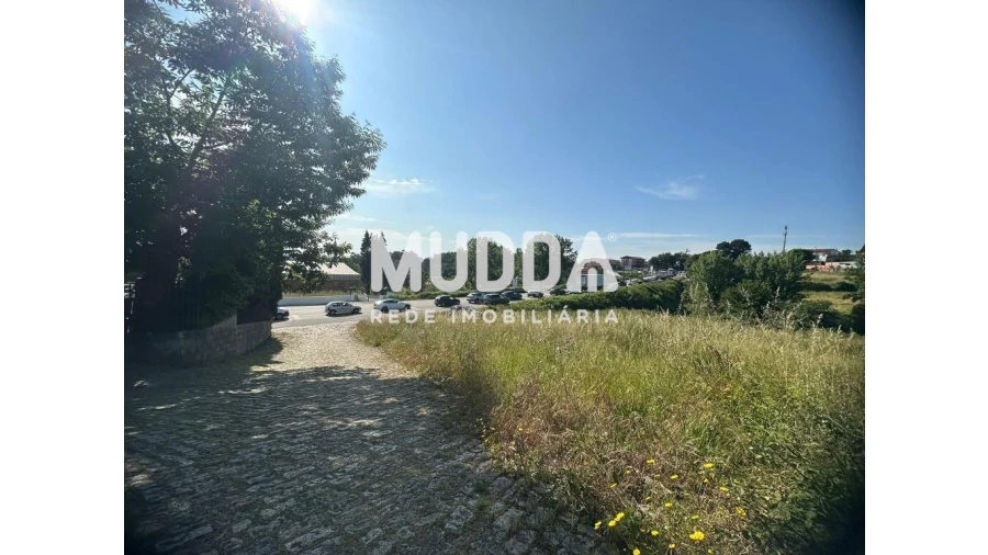 Terreno para Venda em Pinheiro da Bemposta, Travanca e Palmaz Foto 4