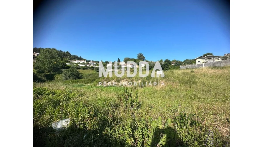 Terreno para Venda em Pinheiro da Bemposta, Travanca e Palmaz Foto 18