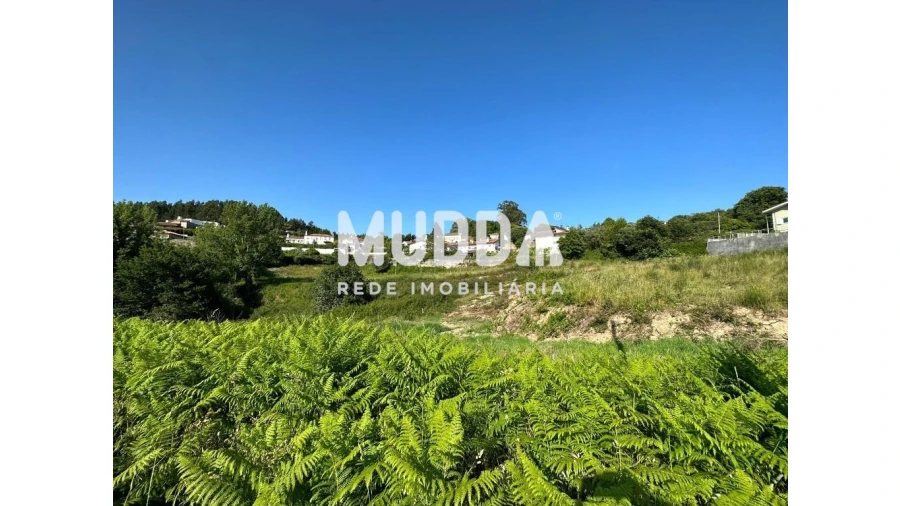 Terreno para Venda em Pinheiro da Bemposta, Travanca e Palmaz Foto 6